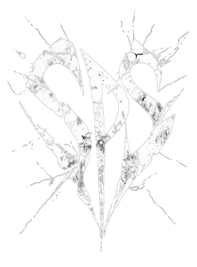 Shattered Past Society